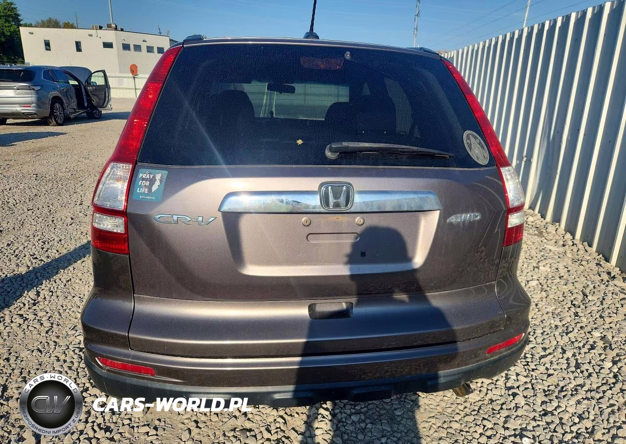 2010 Honda Cr-V Exl VIN:5J6RE4H7XAL100442 - 6