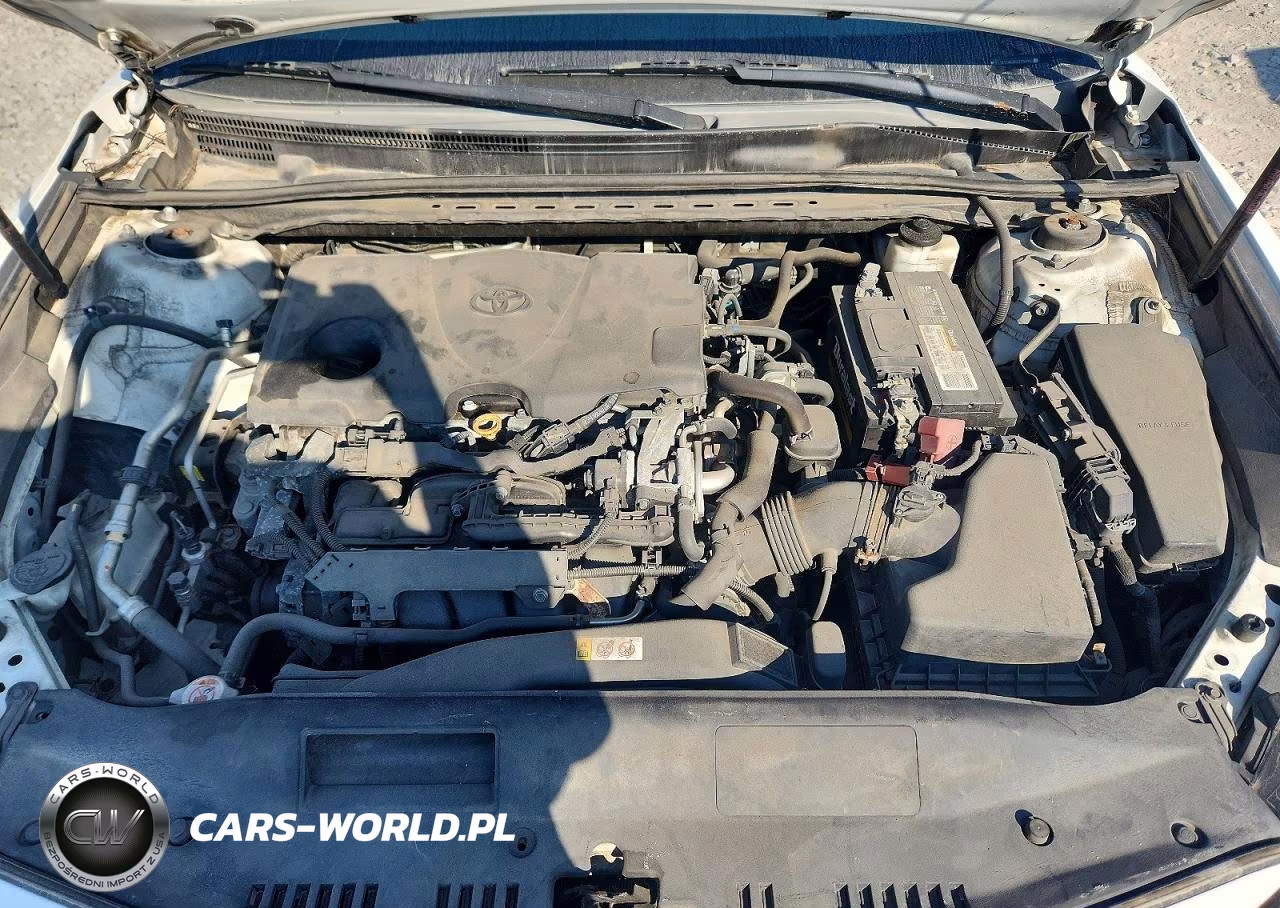2019 Toyota Camry Le VIN:4T1B11HK2KU231314 - 11