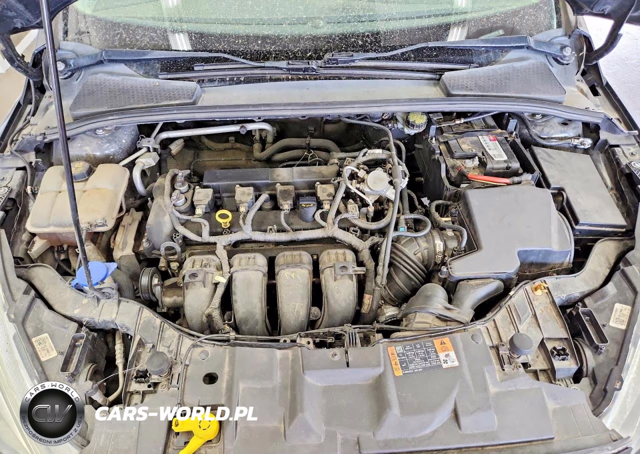2015 Ford Focus Se VIN:1FADP3F24FL307742 - 11