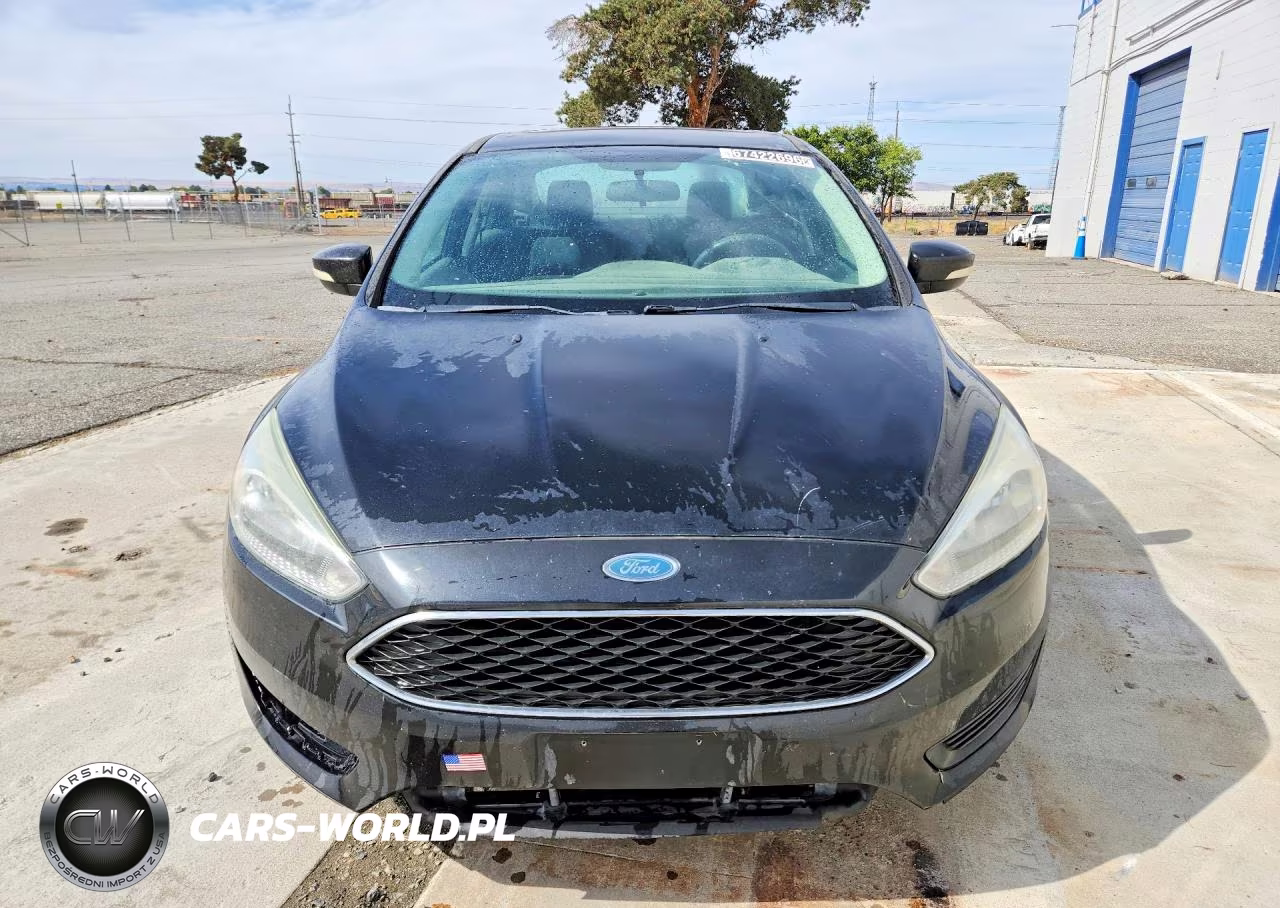2015 Ford Focus Se VIN:1FADP3F24FL307742 - 5