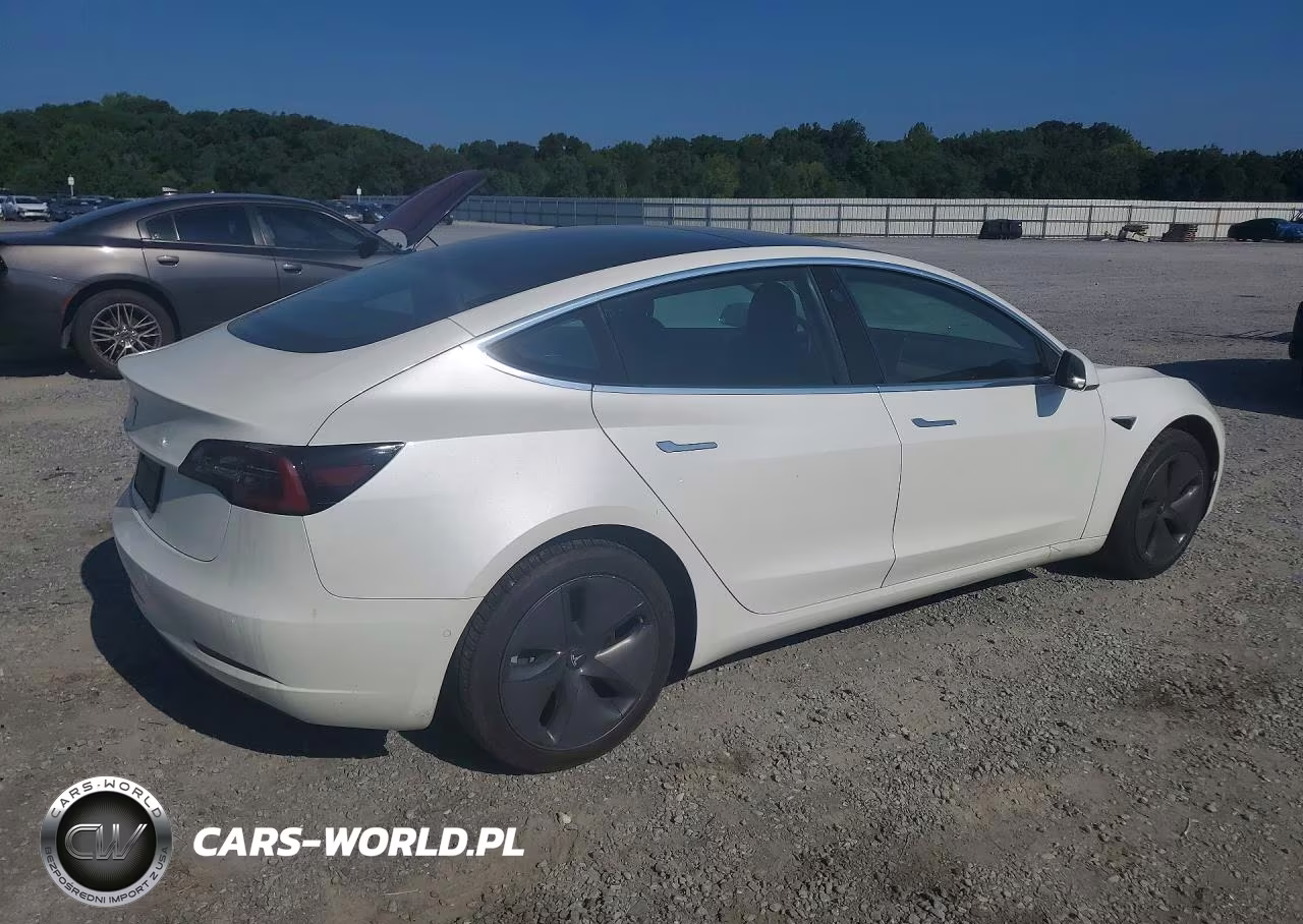 2019 Tesla Model 3 VIN:5YJ3E1EA0KF484097 - 3