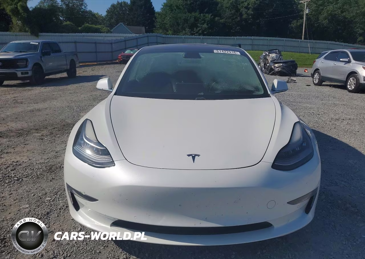 2019 Tesla Model 3 VIN:5YJ3E1EA0KF484097 - 5