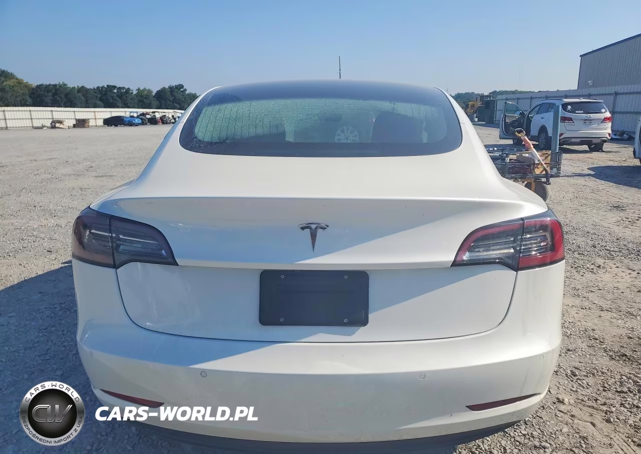 2019 Tesla Model 3 VIN:5YJ3E1EA0KF484097 - 6