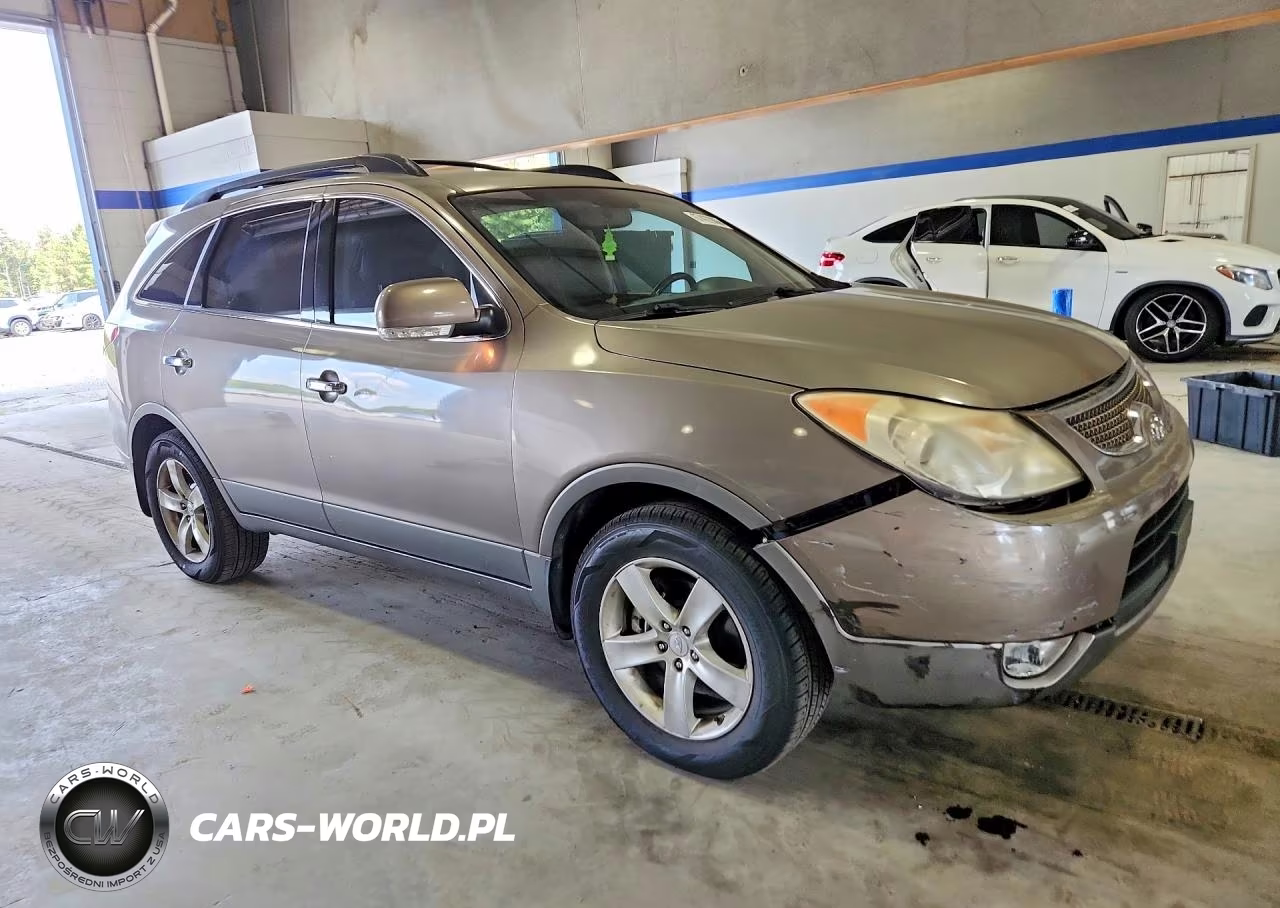 2010 Hyundai Veracruz Limited VIN:KM8NU4CC5AU123029 - 4