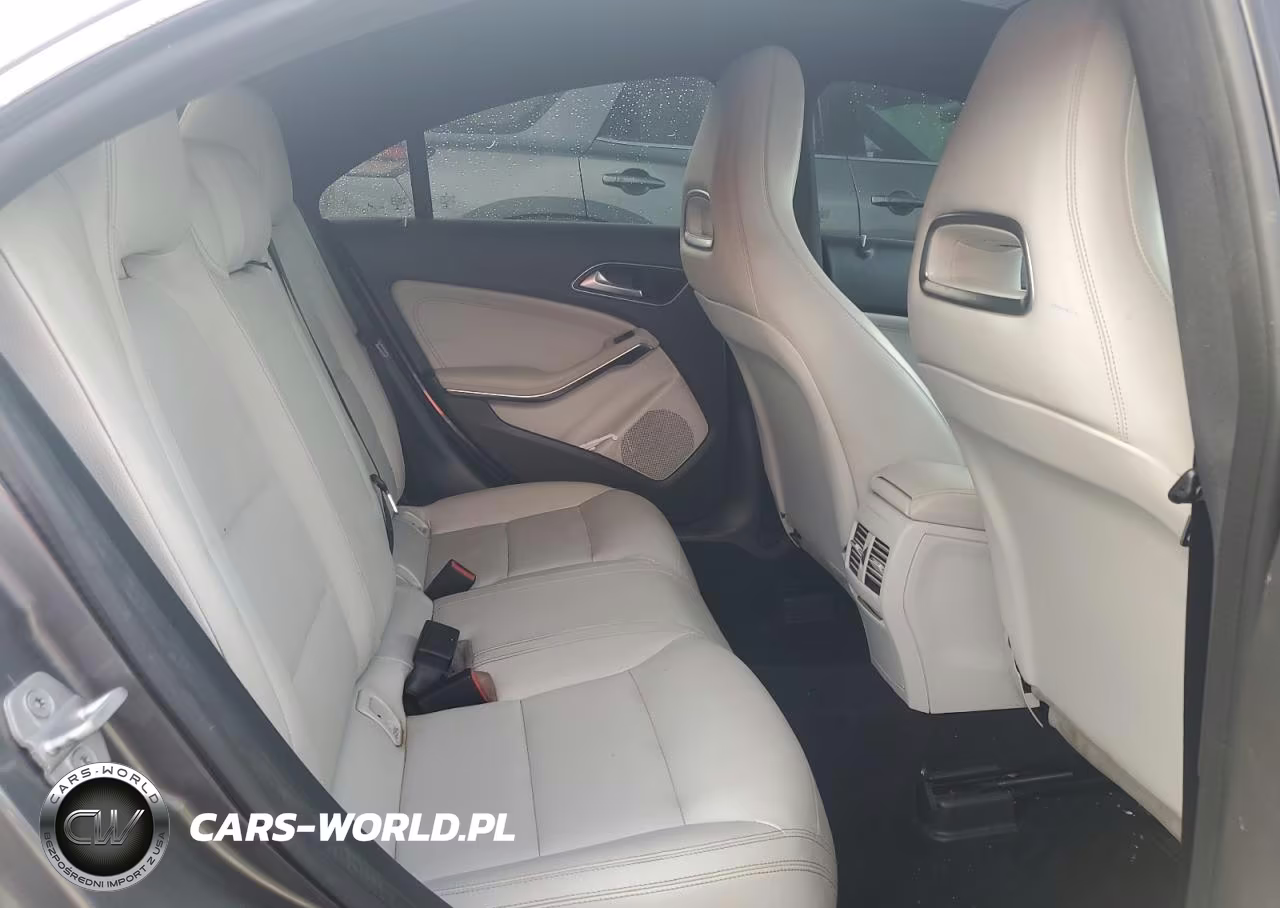 2014 Mercedes-Benz Cla 250 VIN:WDDSJ4EB2EN029295 - 10