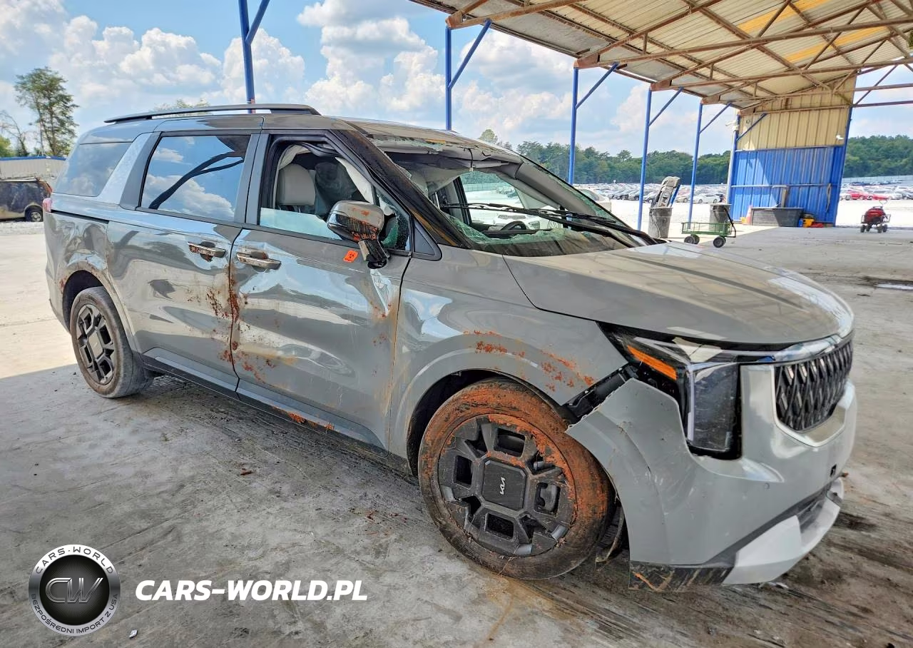 2025 Kia Carnival Ex VIN:KNDNC5KA8S6030170 - 4