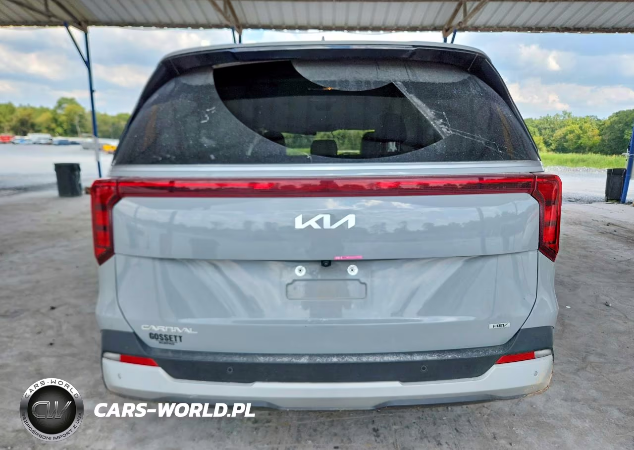 2025 Kia Carnival Ex VIN:KNDNC5KA8S6030170 - 6