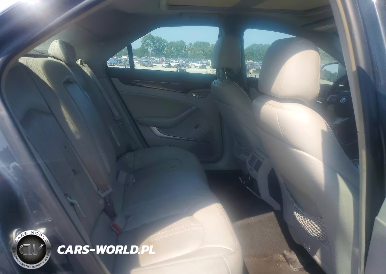 2010 Cadillac Cts Luxury Collection VIN:1G6DE5EG6A0149409 - 10