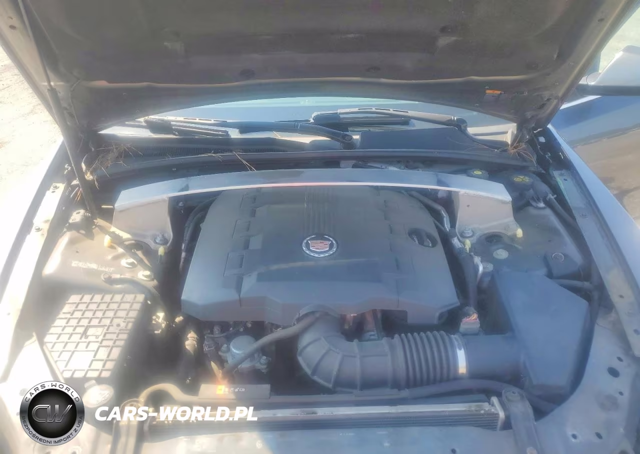 2010 Cadillac Cts Luxury Collection VIN:1G6DE5EG6A0149409 - 11