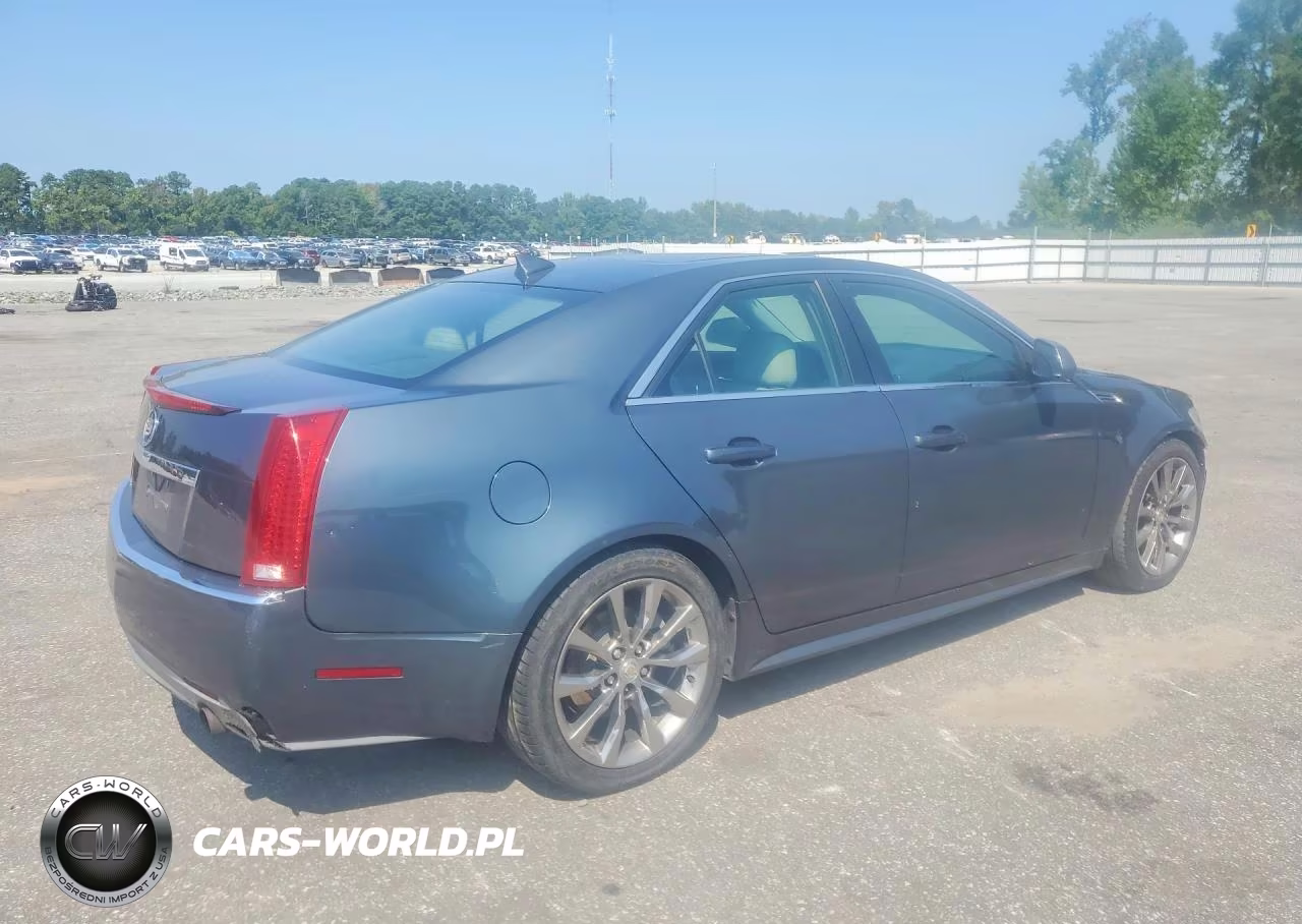 2010 Cadillac Cts Luxury Collection VIN:1G6DE5EG6A0149409 - 3