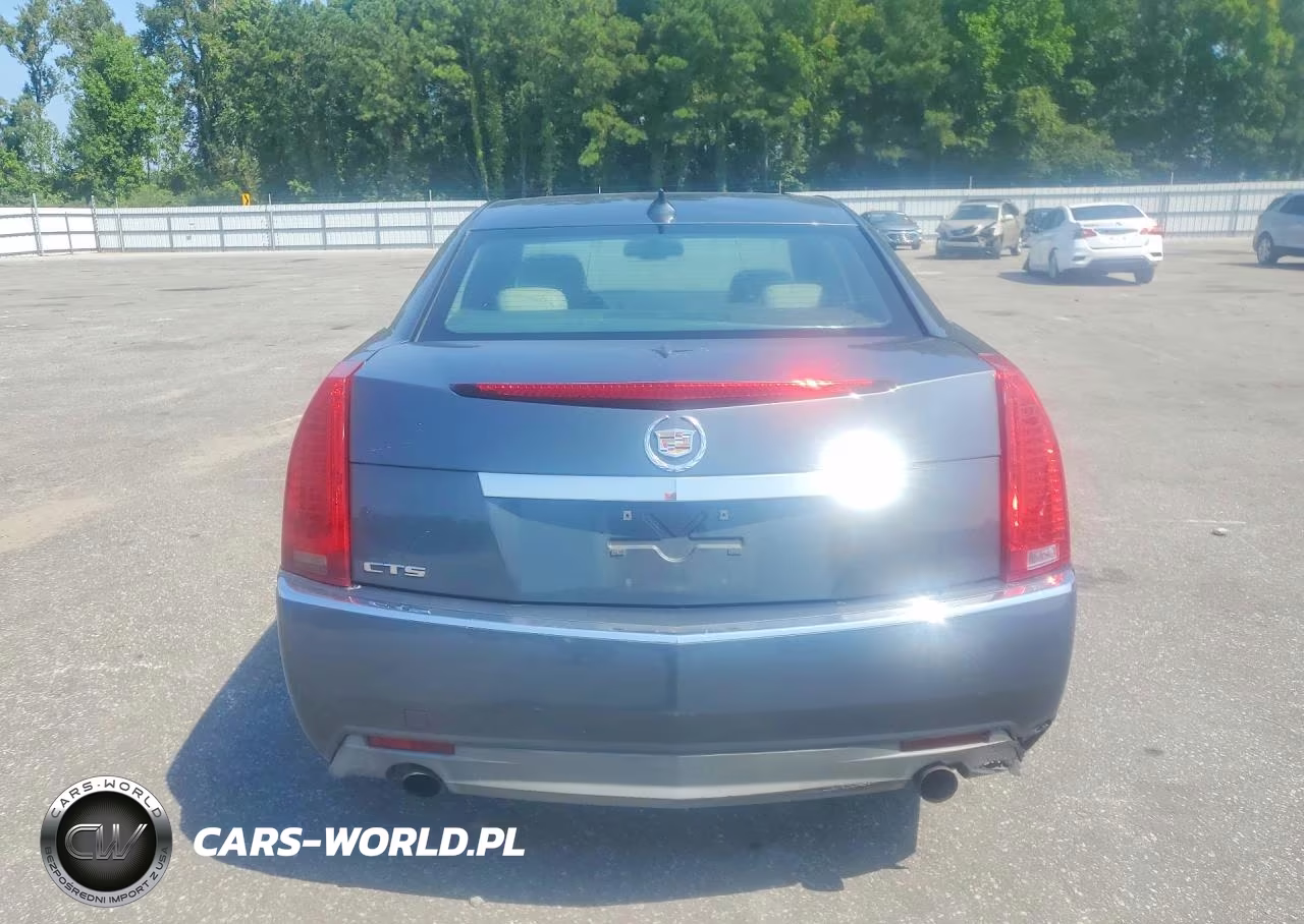 2010 Cadillac Cts Luxury Collection VIN:1G6DE5EG6A0149409 - 6