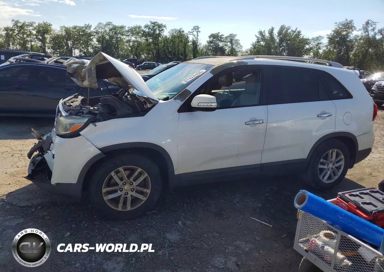 2014 Kia Sorento Lx VIN:5XYKT4A62EG485530 - 1