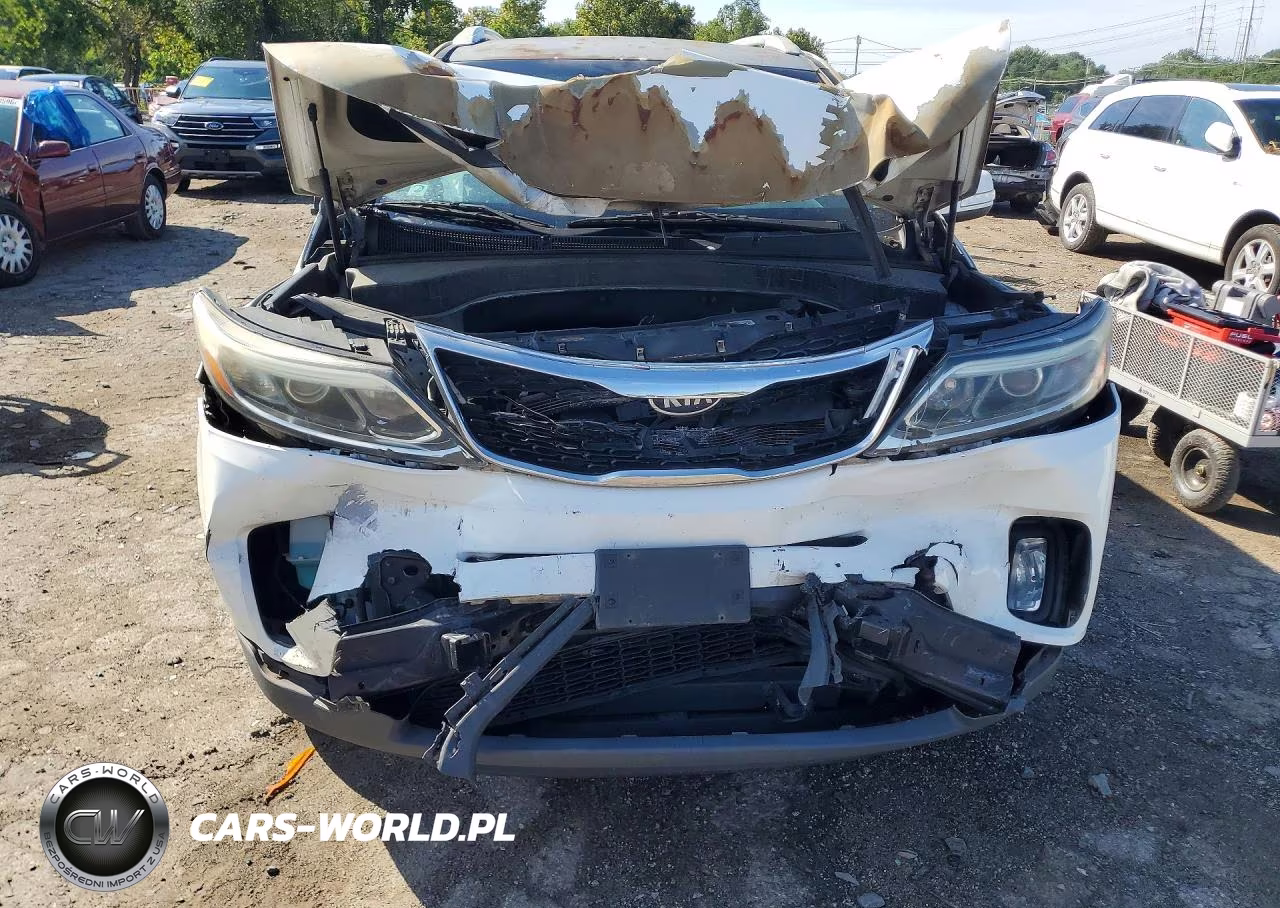 2014 Kia Sorento Lx VIN:5XYKT4A62EG485530 - 5