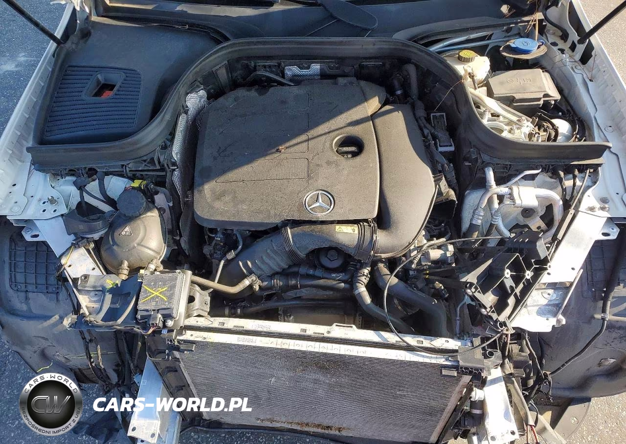 2020 Mercedes-Benz Glc 300 4Matic VIN:W1N0G8EB2LF757349 - 12