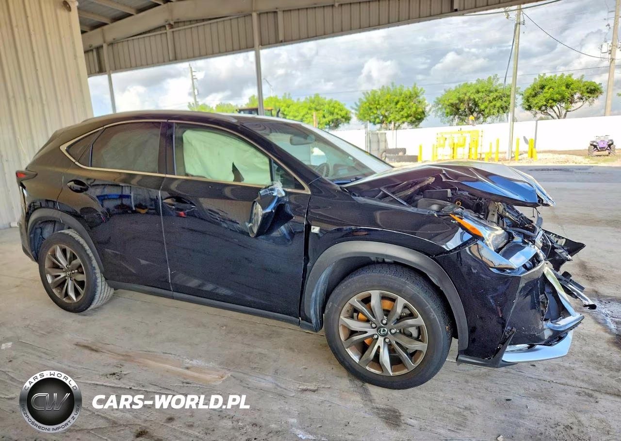 2017 Lexus Nx 200T F Sport VIN:JTJYARBZ2H2078289 - 4
