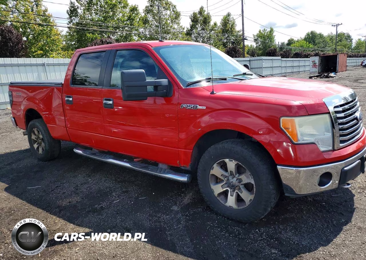2010 Ford F150 Supercrew VIN:1FTFW1EV1AFA41402 - 4