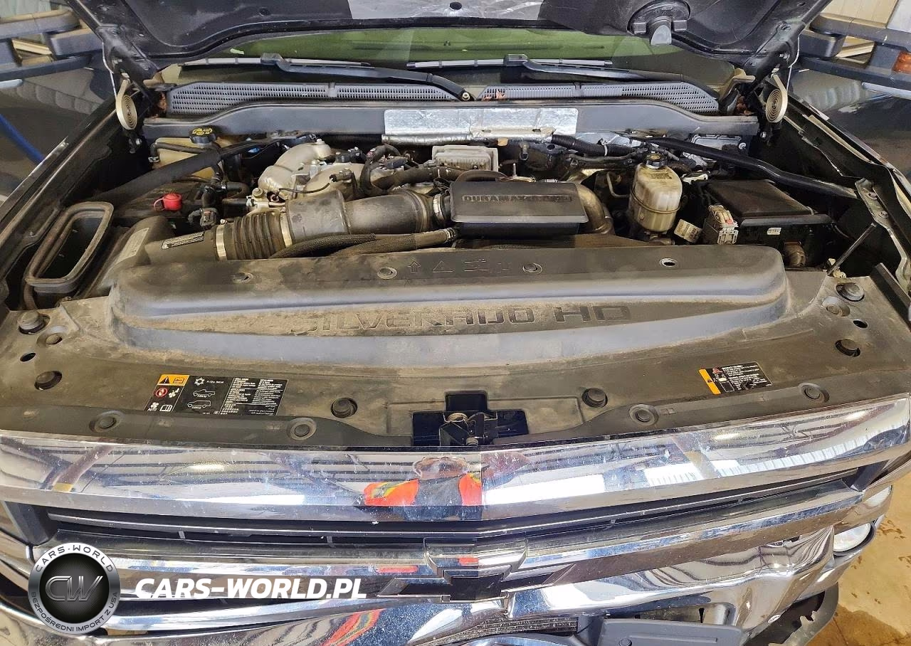2019 Chevrolet Silverado K2500 Heavy Duty Ltz VIN:1GC1KTEY6KF185394 - 11