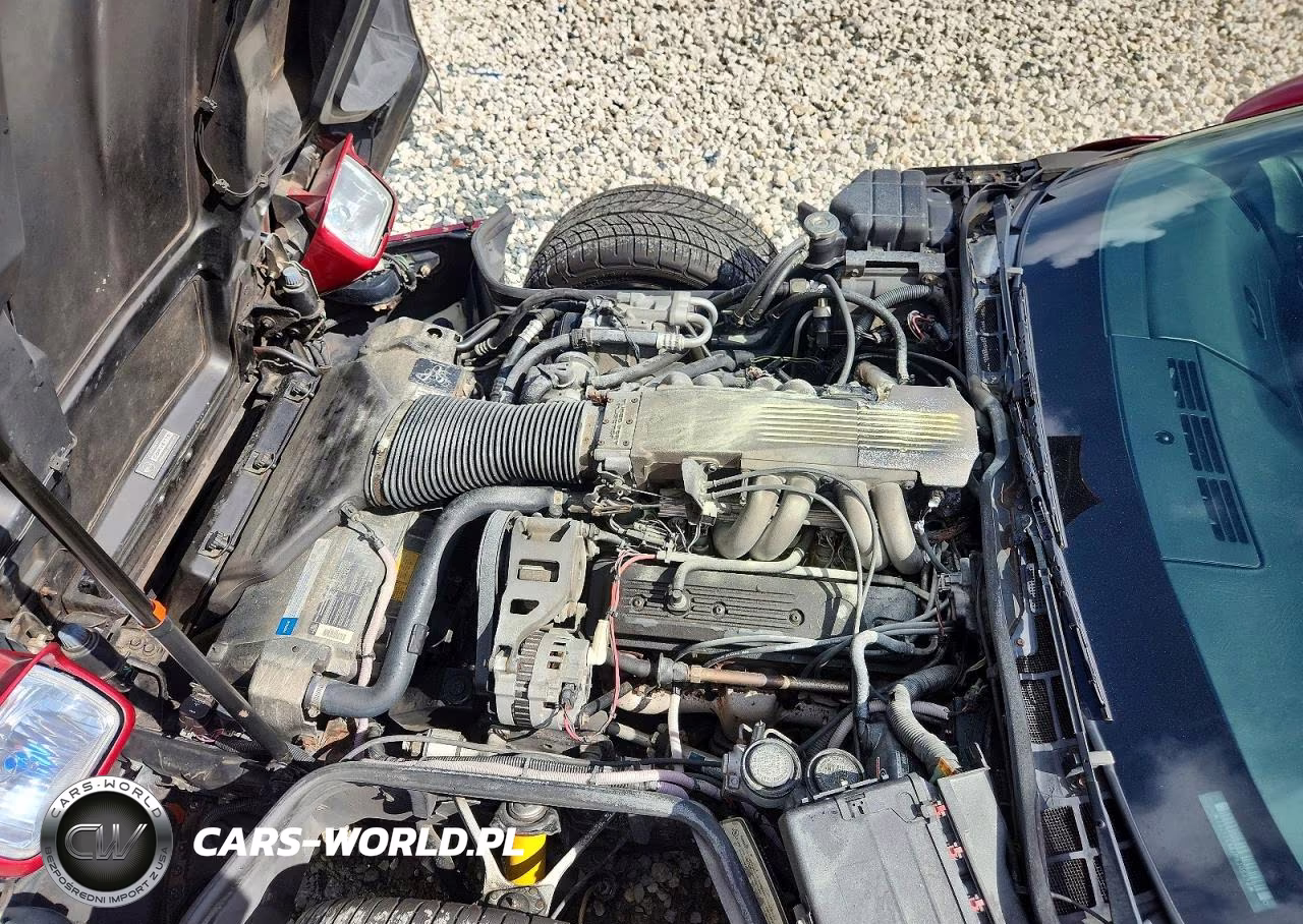 1991 Chevrolet Corvette VIN:1G1YY2381M5105298 - 11