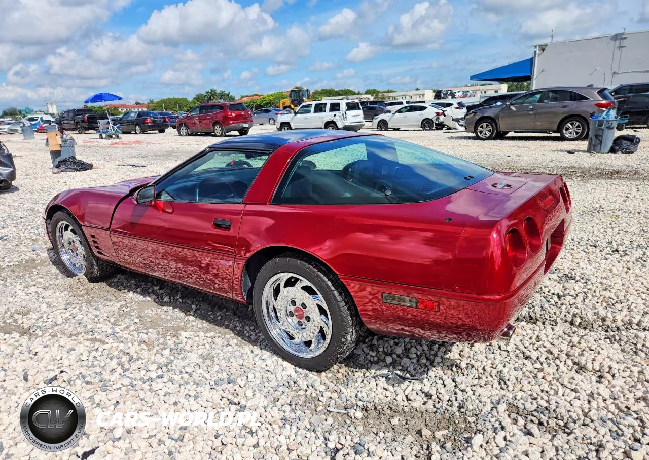 1991 Chevrolet Corvette VIN:1G1YY2381M5105298 - 2