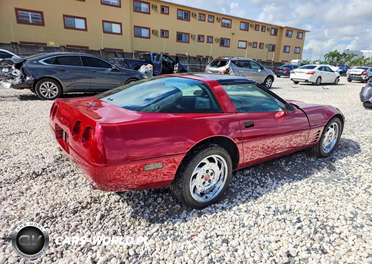 1991 Chevrolet Corvette VIN:1G1YY2381M5105298 - 3