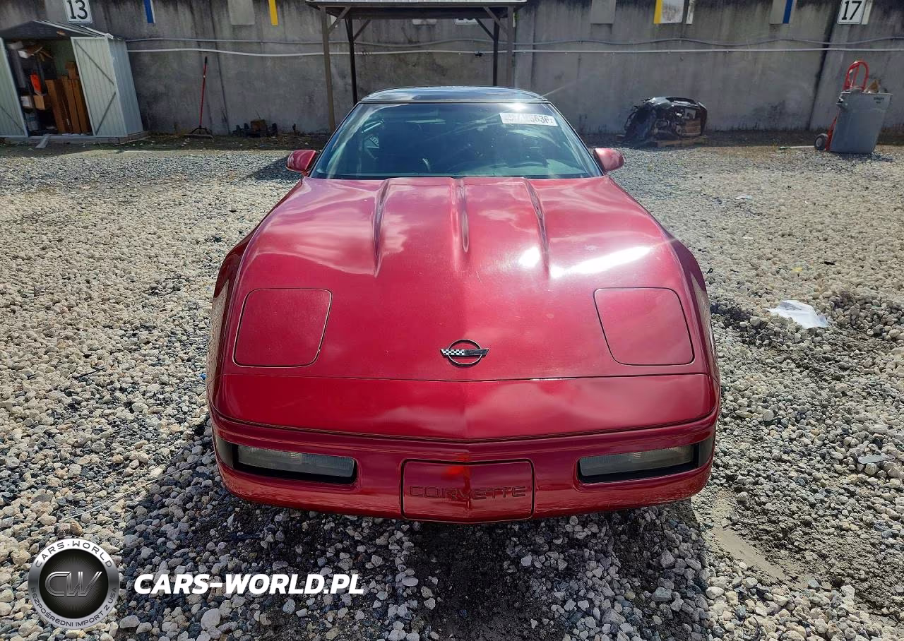 1991 Chevrolet Corvette VIN:1G1YY2381M5105298 - 5