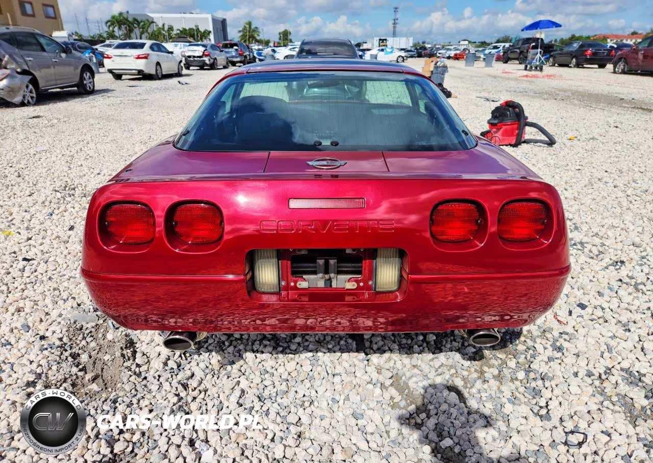 1991 Chevrolet Corvette VIN:1G1YY2381M5105298 - 6