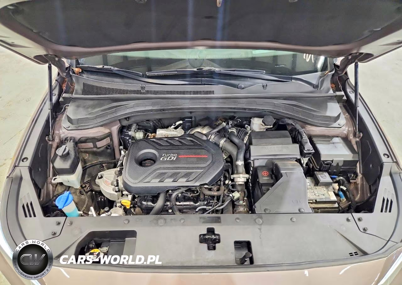 2019 Hyundai Santa Fe Ultimate 2.0T VIN:5NMS5CAA3KH111308 - 12
