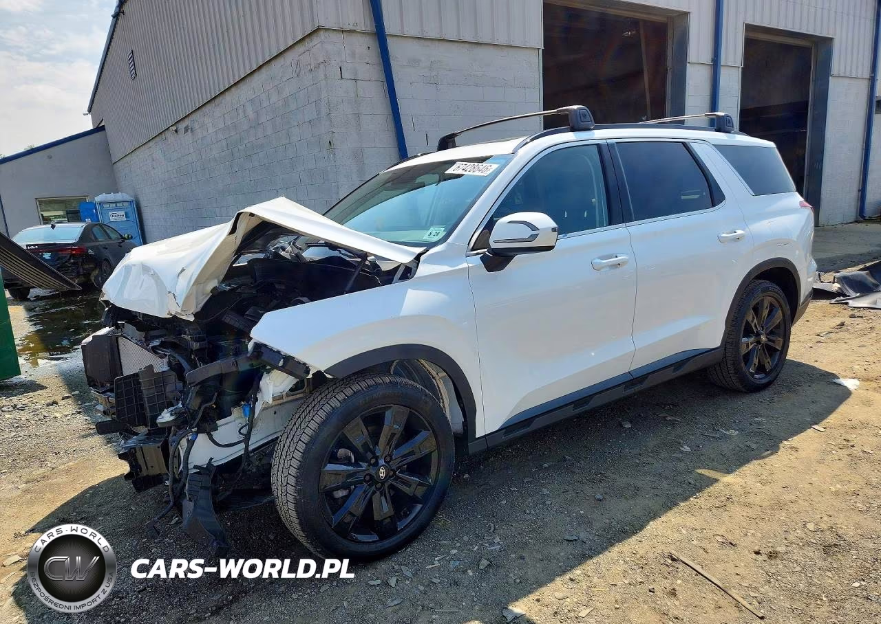 2023 Hyundai Palisade Xrt VIN:KM8R3DGE7PU628725 - 1