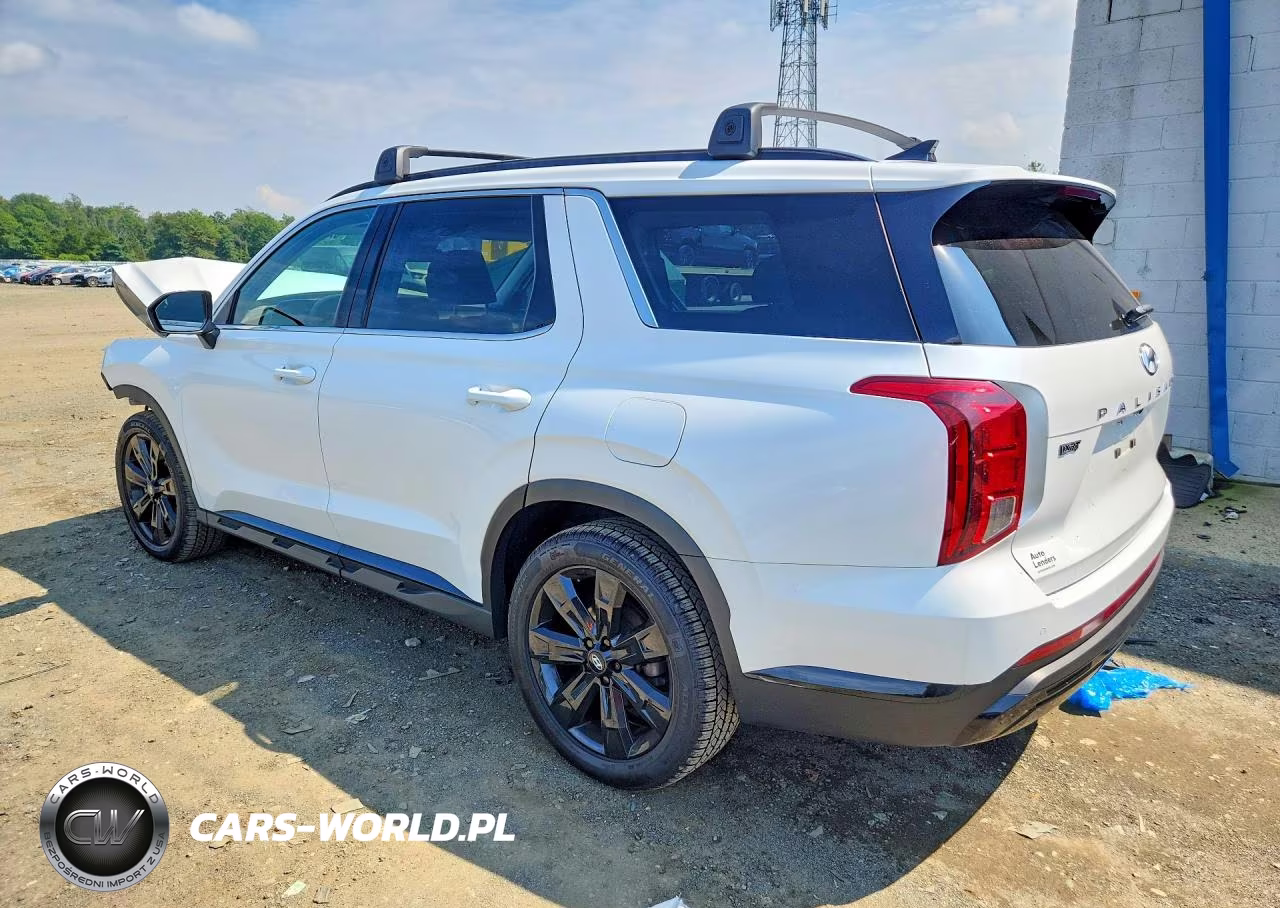 2023 Hyundai Palisade Xrt VIN:KM8R3DGE7PU628725 - 2