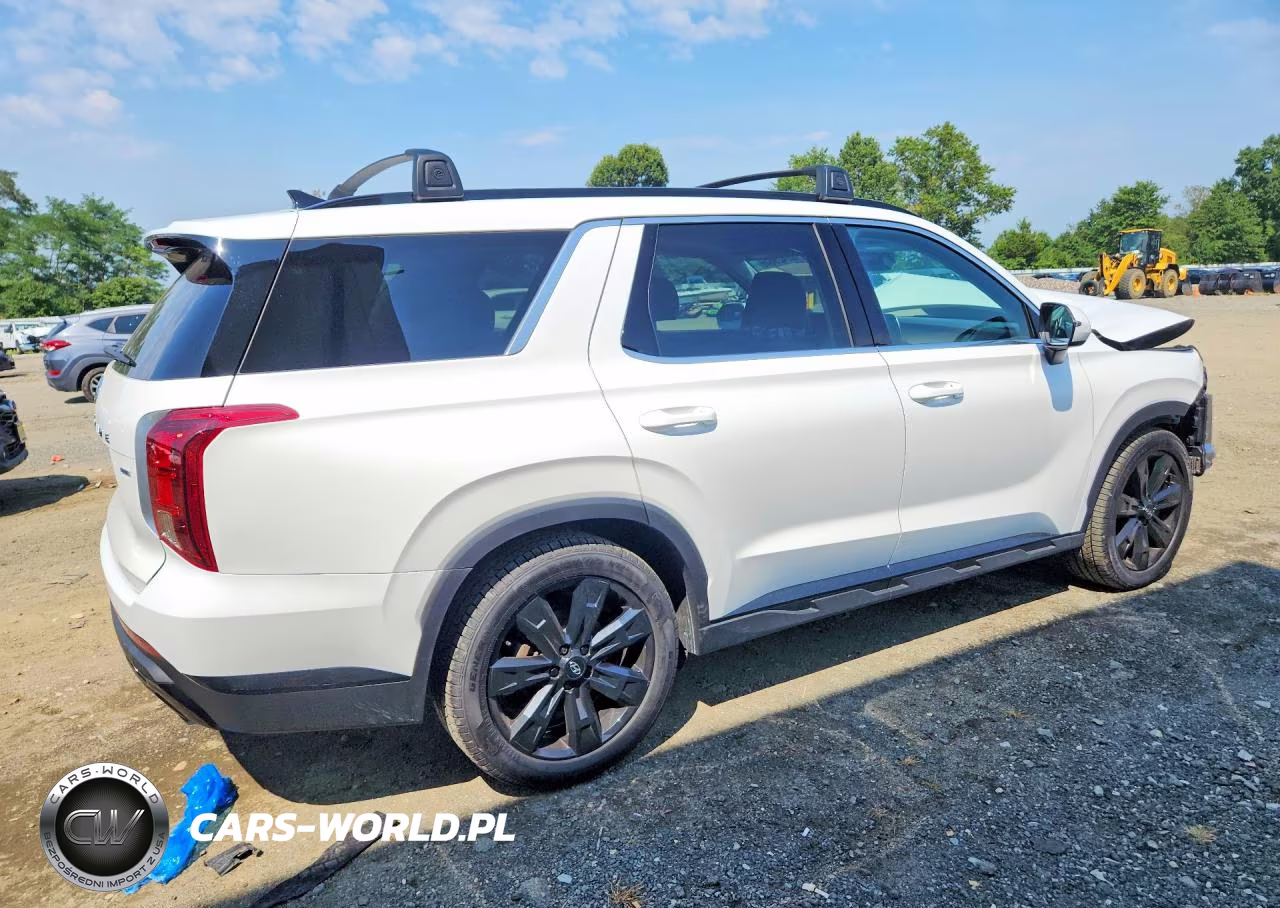 2023 Hyundai Palisade Xrt VIN:KM8R3DGE7PU628725 - 3