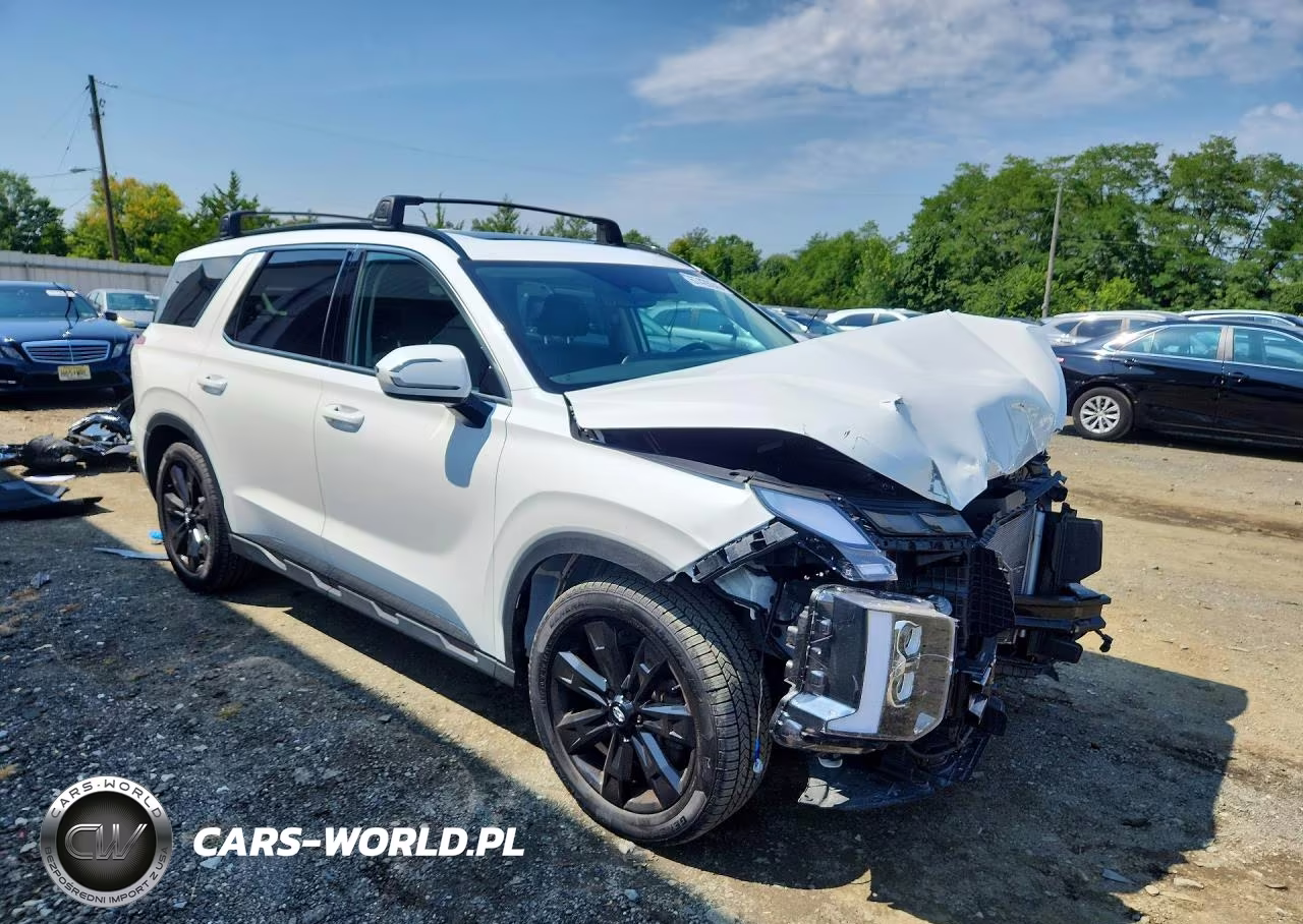 2023 Hyundai Palisade Xrt VIN:KM8R3DGE7PU628725 - 4