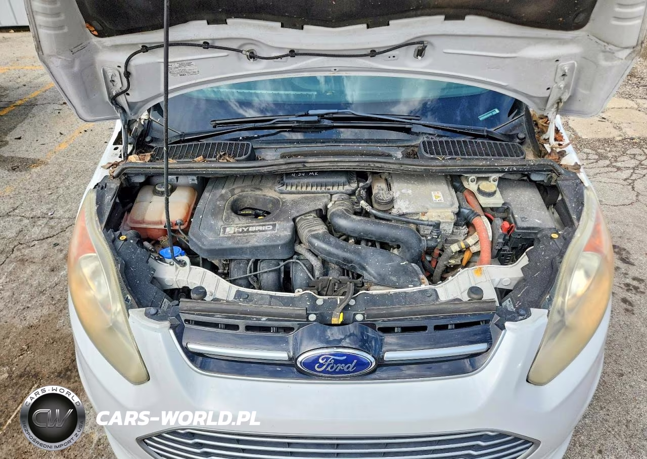 2013 Ford C-Max Se VIN:1FADP5AU9DL524446 - 12