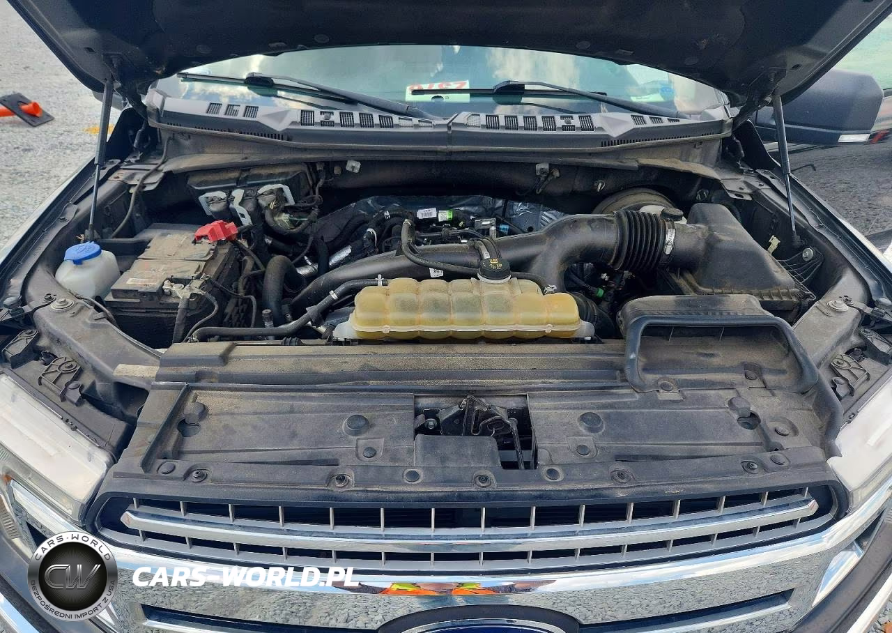 2020 Ford F150 Supercrew VIN:1FTEW1CP8LKE56372 - 11