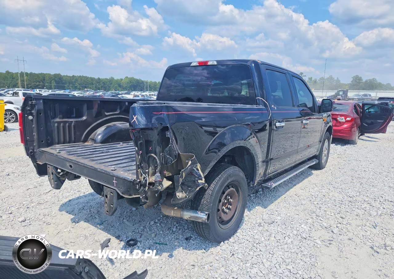 2020 Ford F150 Supercrew VIN:1FTEW1CP8LKE56372 - 3