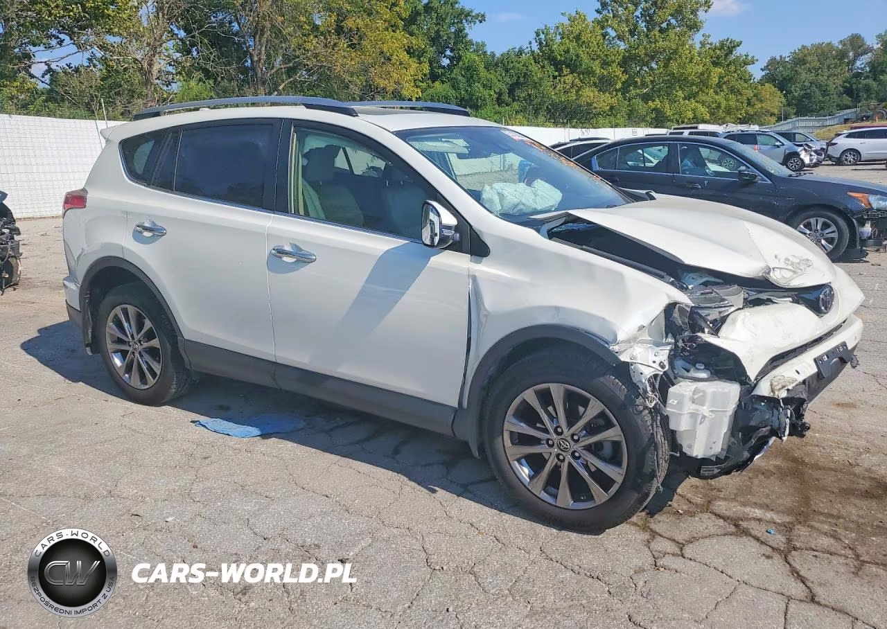 2018 Toyota Rav4 Limited VIN:JTMDFREV8JJ723762 - 4