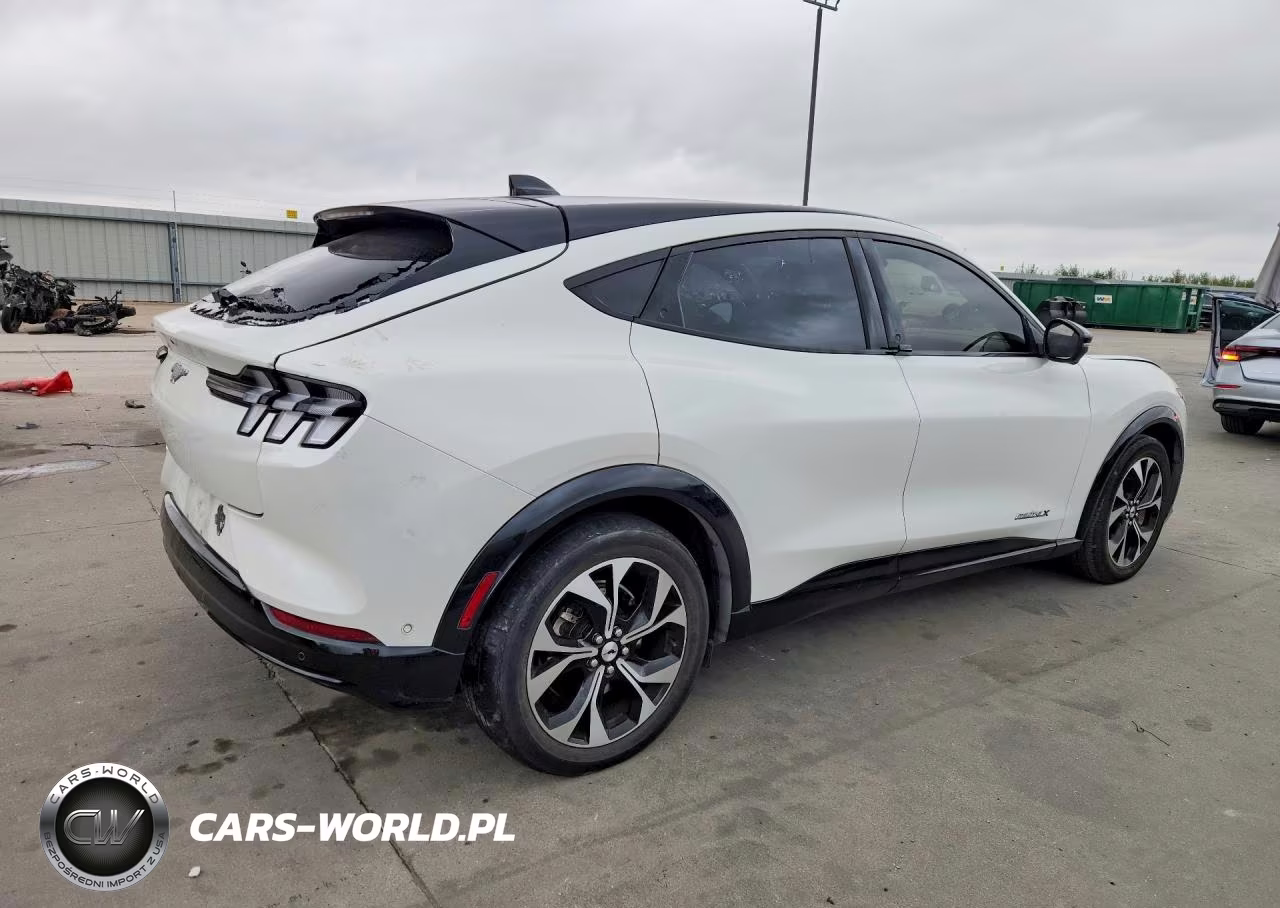 2021 Ford Mustang Mach-E Premium VIN:3FMTK3R7XMMA02751 - 3