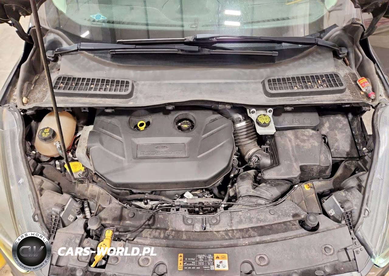 2017 Ford Escape Se VIN:1FMCU9G98HUA11113 - 12