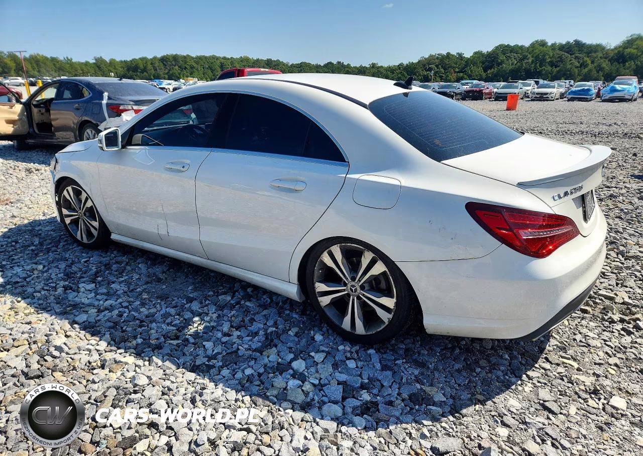 2019 Mercedes-Benz Cla 250 VIN:WDDSJ4EB4KN711218 - 2