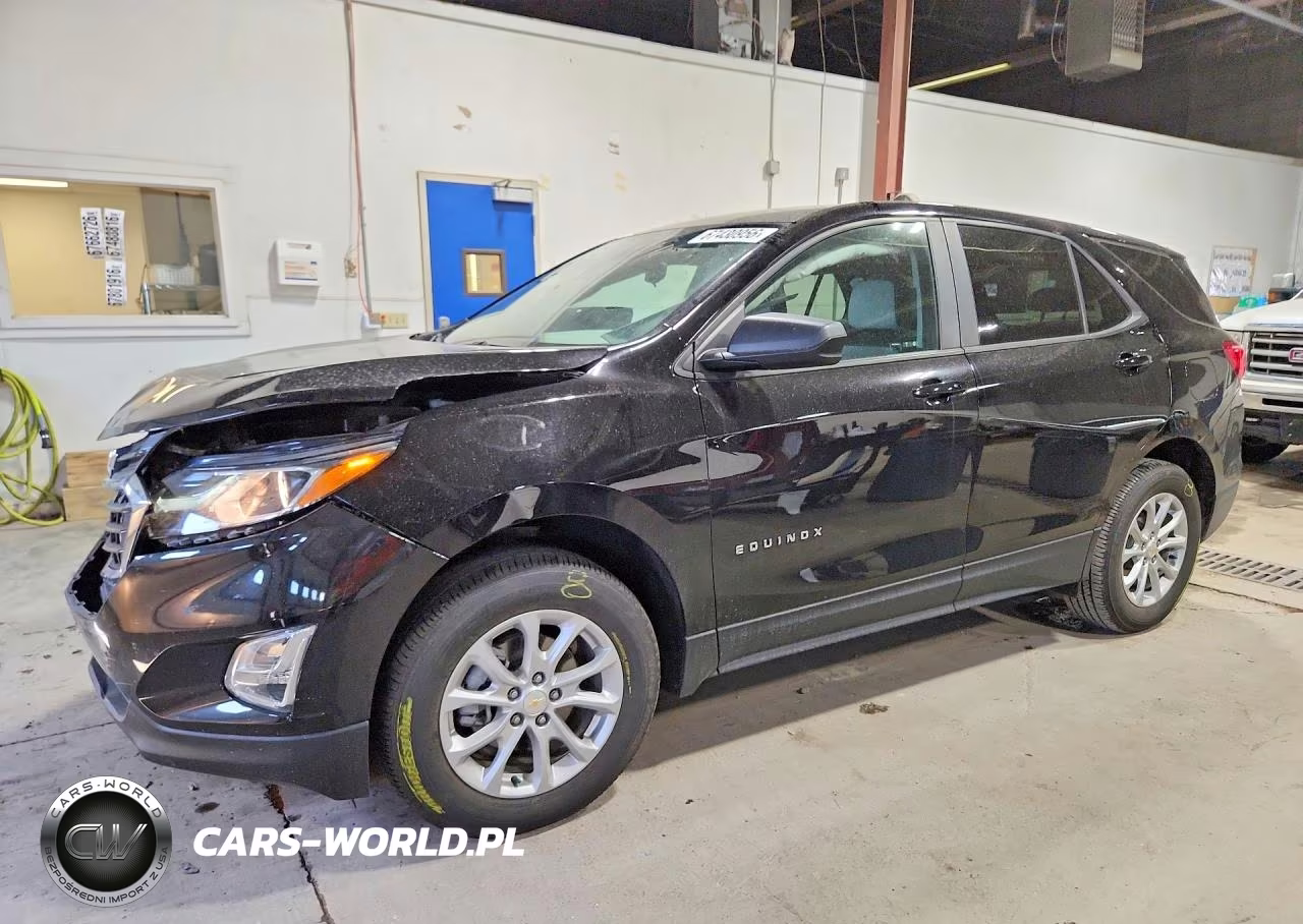 2020 Chevrolet Equinox Ls VIN:2GNAXSEV3L6166130 - 1