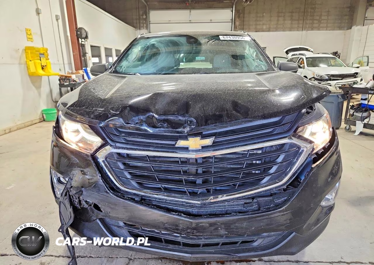 2020 Chevrolet Equinox Ls VIN:2GNAXSEV3L6166130 - 5