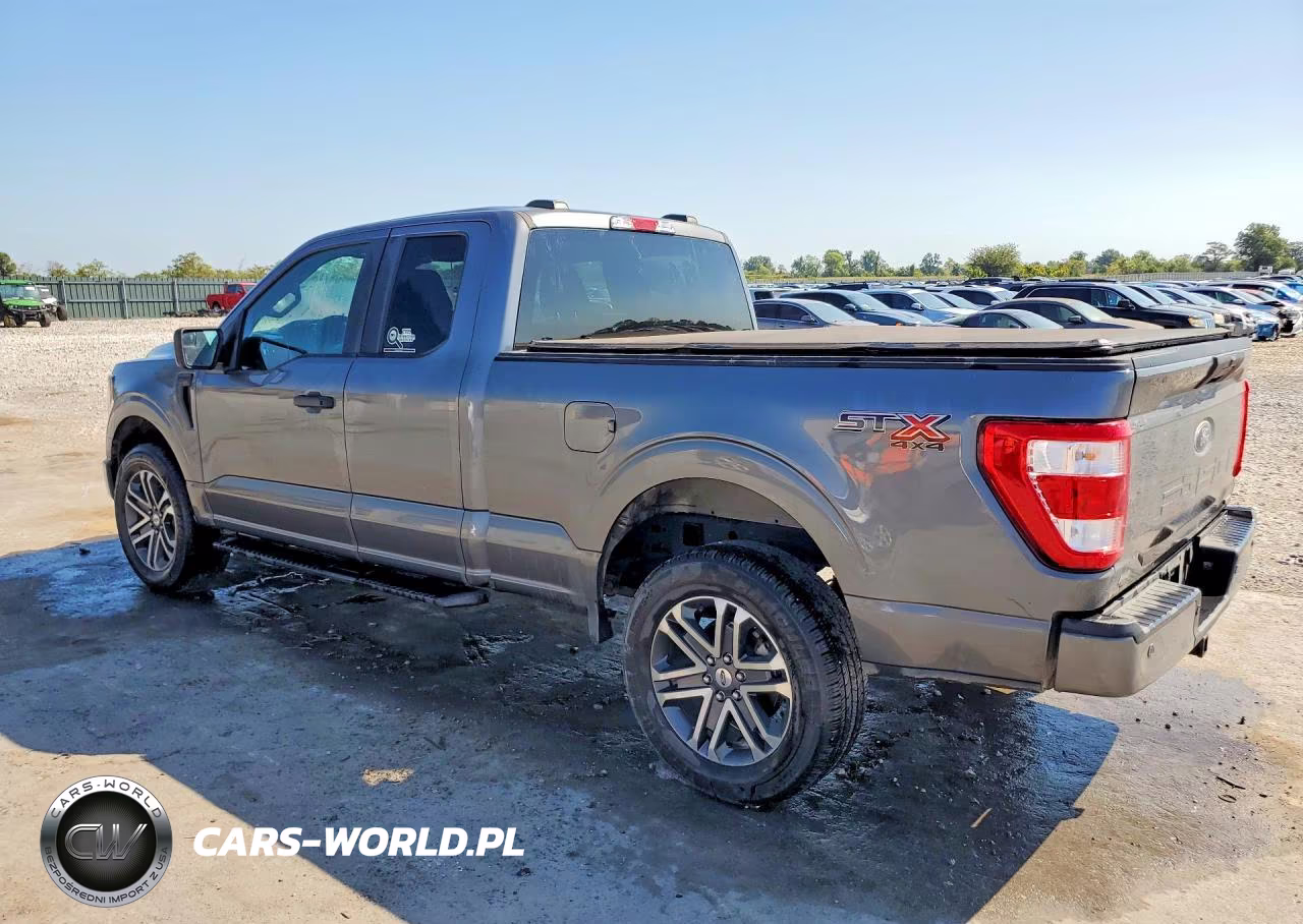 2023 Ford F150 VIN:1FTFX1E87PKF31334 - 2
