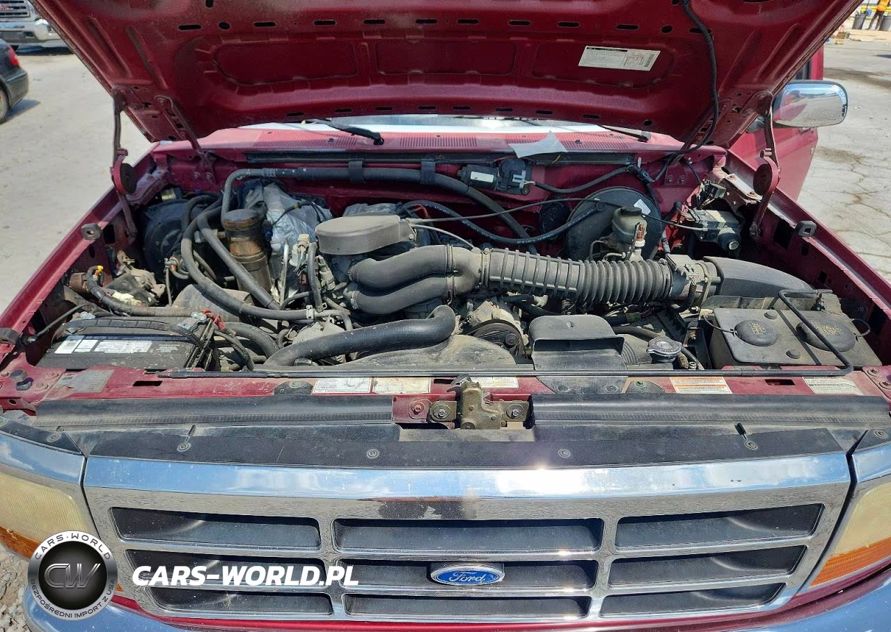 1995 Ford F150 VIN:1FTEF15N8SNA57776 - 11