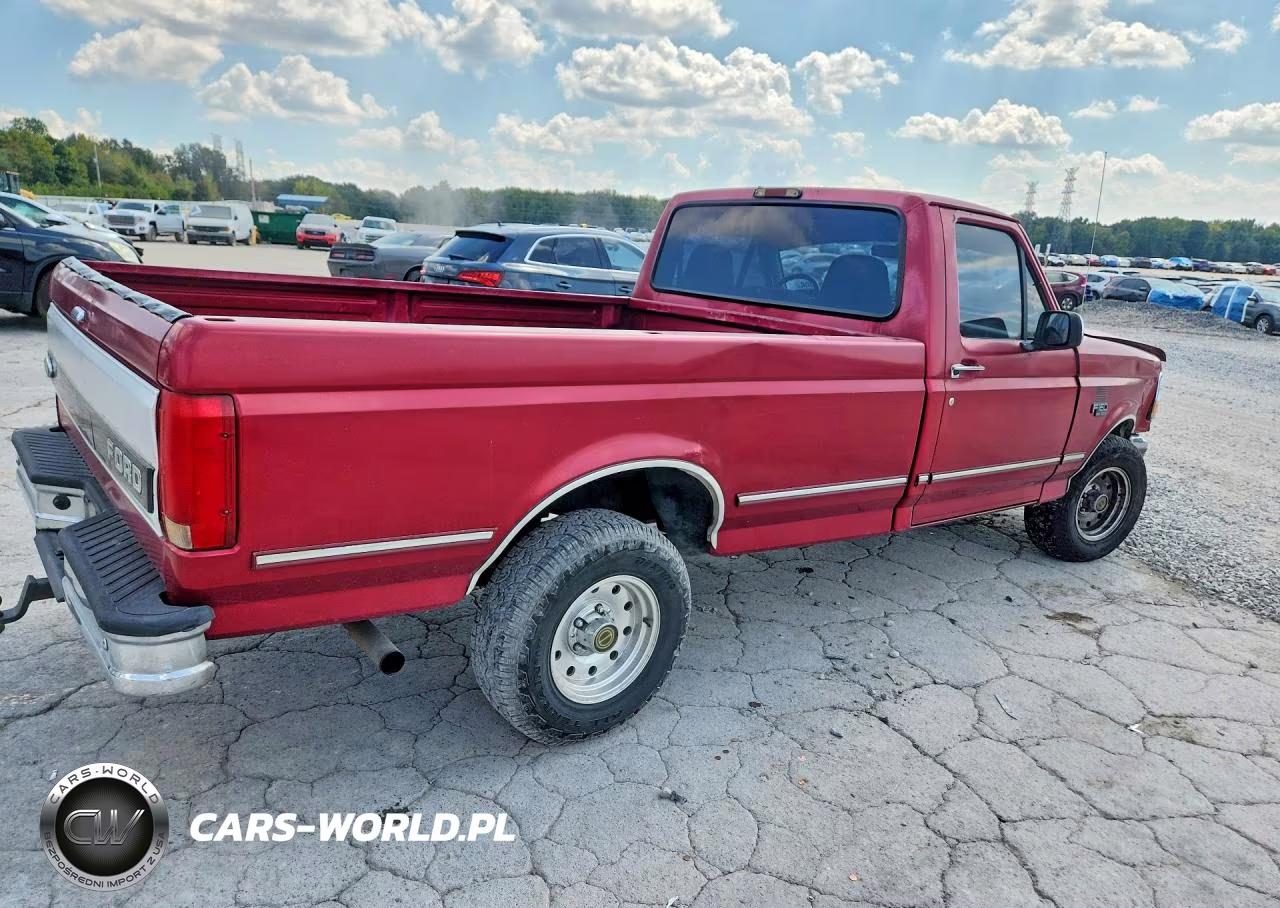 1995 Ford F150 VIN:1FTEF15N8SNA57776 - 3