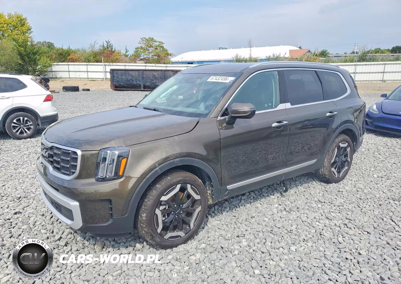 2025 Kia Telluride S VIN:5XYP6DGC8SG625344 - 1