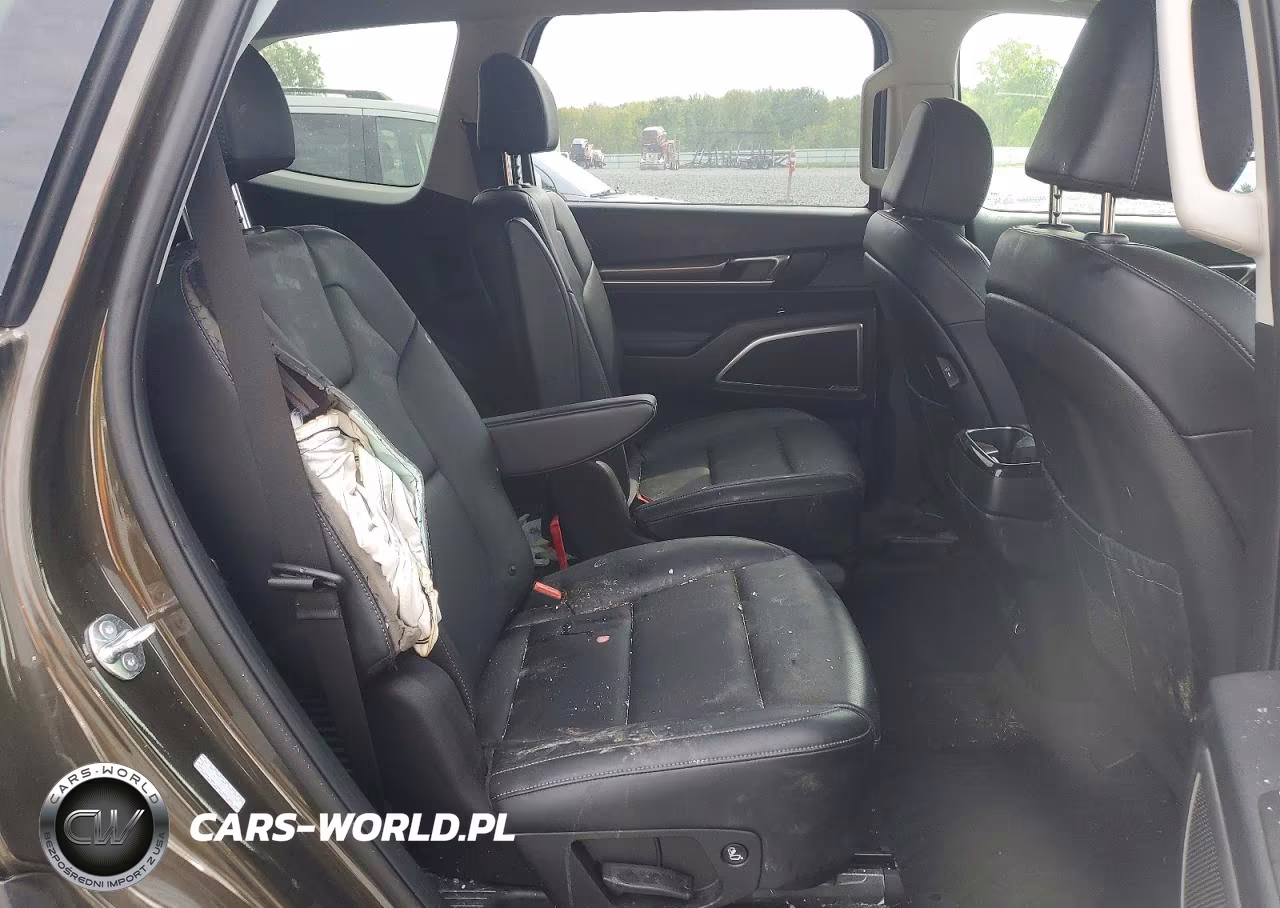 2025 Kia Telluride S VIN:5XYP6DGC8SG625344 - 11