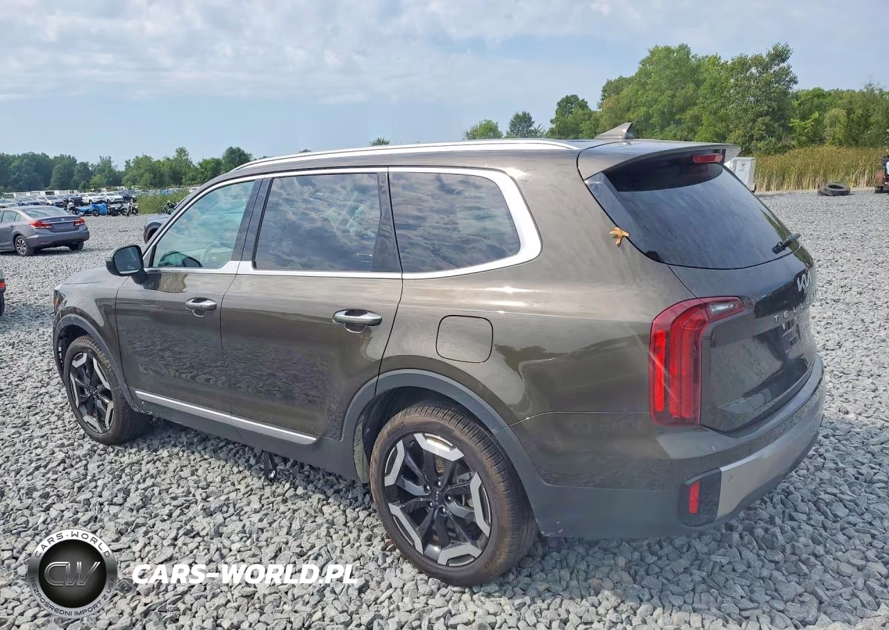 2025 Kia Telluride S VIN:5XYP6DGC8SG625344 - 2