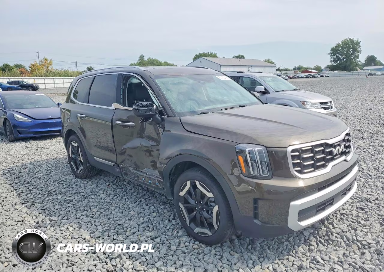 2025 Kia Telluride S VIN:5XYP6DGC8SG625344 - 4