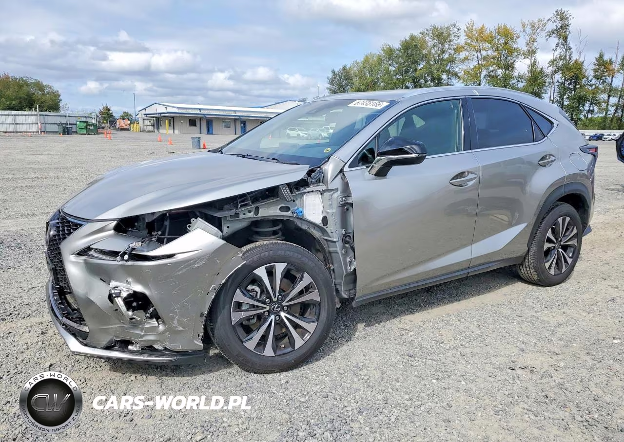 2019 Lexus Nx 300 F Sport