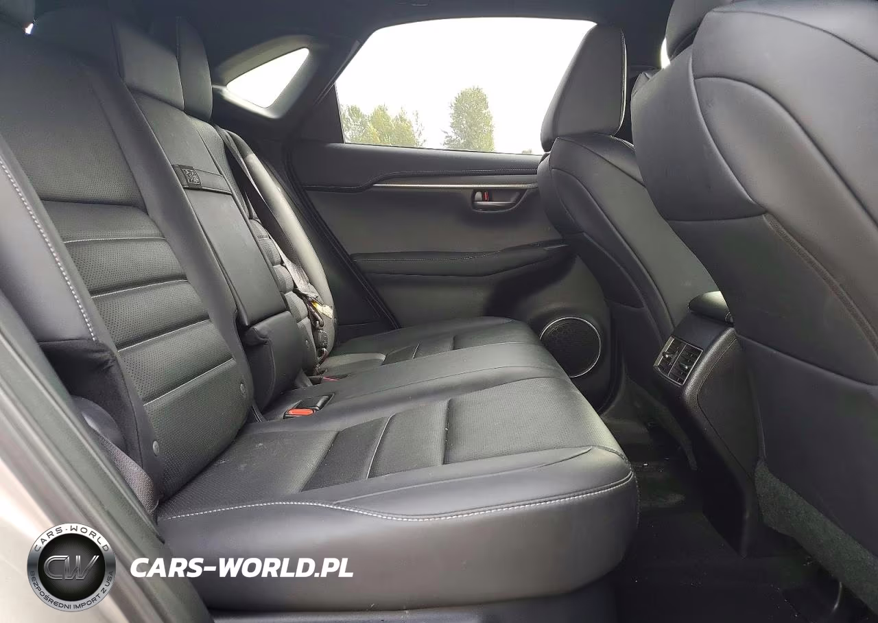 2019 Lexus Nx 300 F Sport VIN:JTJBARBZ0K2216960 - 11