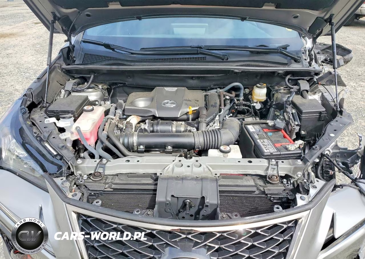 2019 Lexus Nx 300 F Sport VIN:JTJBARBZ0K2216960 - 12
